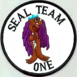 Seal Team 1 patch