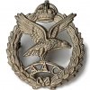 AAC Badge.jpg
