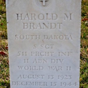H. Brandt (Grave)