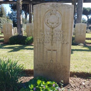 D. Herman (Grave)